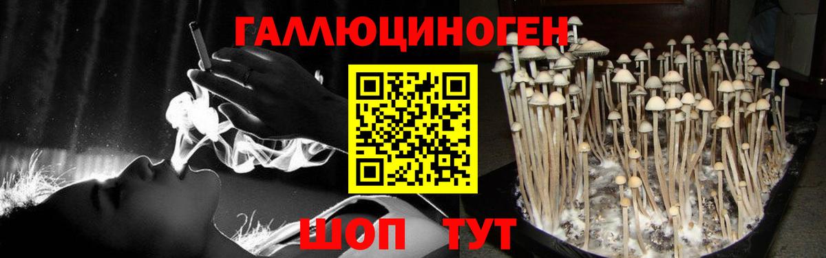 Галлюциногенные грибы Psilocybine cubensis  Галлюциногенные грибы ЛСД  купить закладку  Вход с VPN  Нальчик 